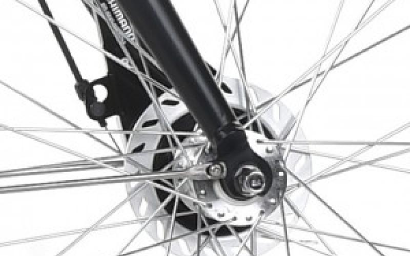 <p>Ontspannen en licht fietsen. De licht lopende Nexus versnellingsnaaf van Shimano zorgt ervoor dat u ontspannen fietst in iedere situatie. Met de wind mee of in de rug.</p>
