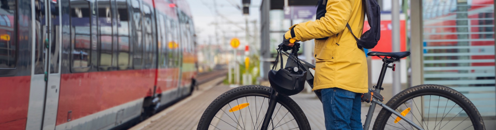 Fietsen Breda