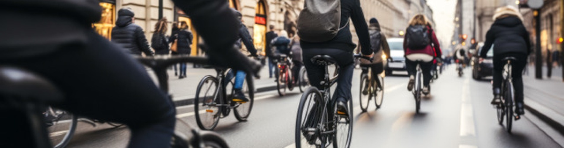 Fietsen Breda