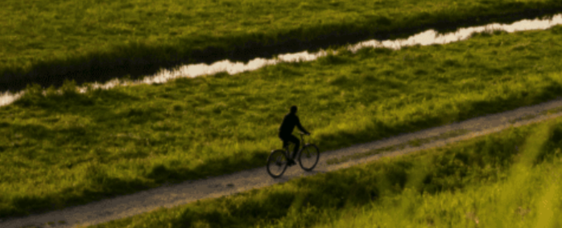 Fietsen Breda