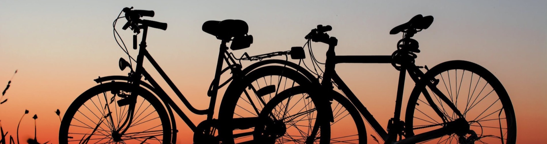 Fietsen Breda