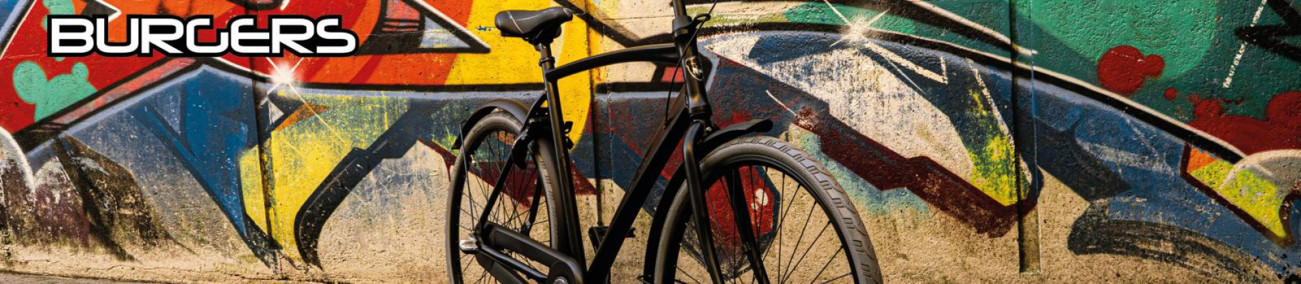 Fietsen Breda