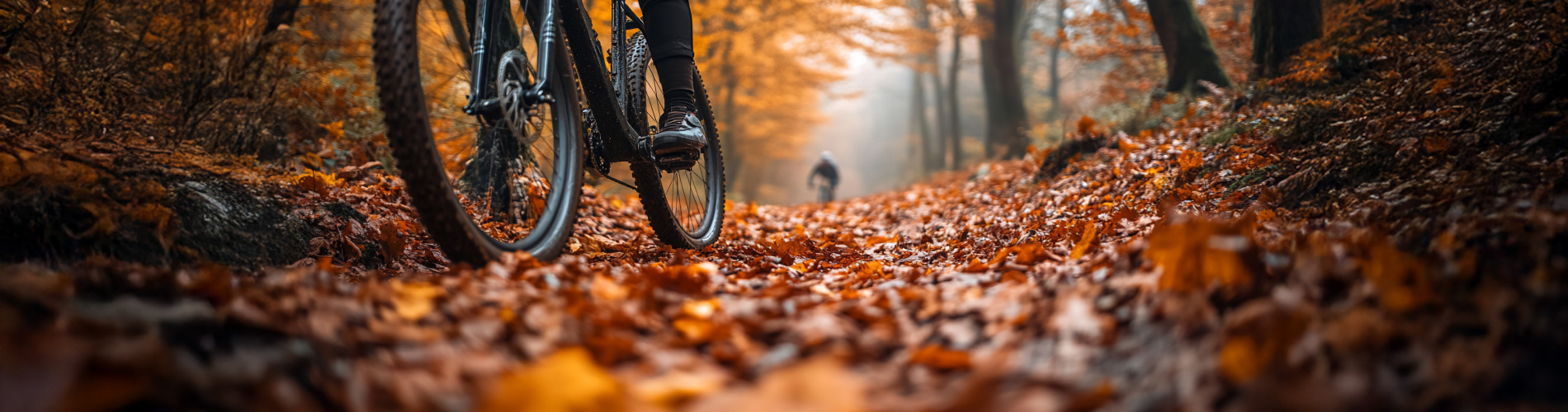 Fietsen Breda